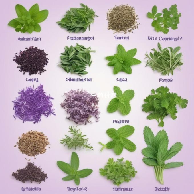 哪些草药与紫苏相容或相互作用呢？它们之间的交互方式是什么样的？
