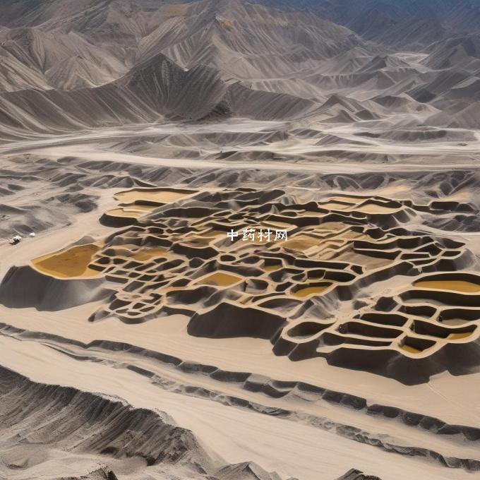 在甘肃省生产的沙参中是否存在任何有害物质或污染物质吗？