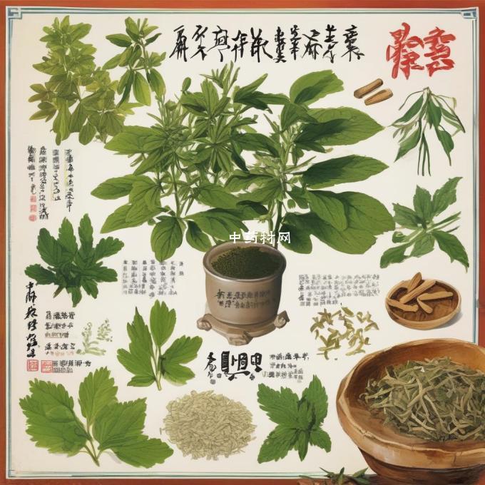 中药茜草是一种植物提取物吗？