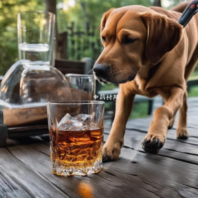 狗脊和什么泡酒的功效是否可以被科学证明?