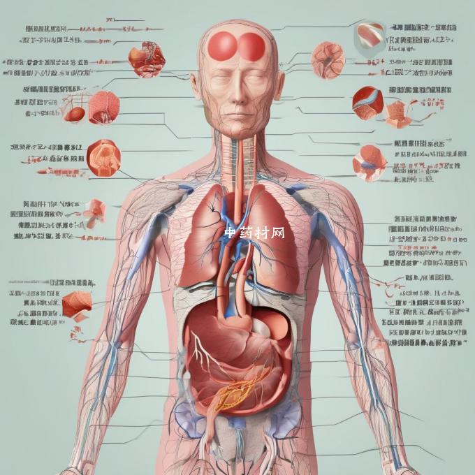 五脏肝心脾肺和肾二十四气候所代表的五行分别是金木水火土在中医药学中哪一种五行对应哪一方面脏器?