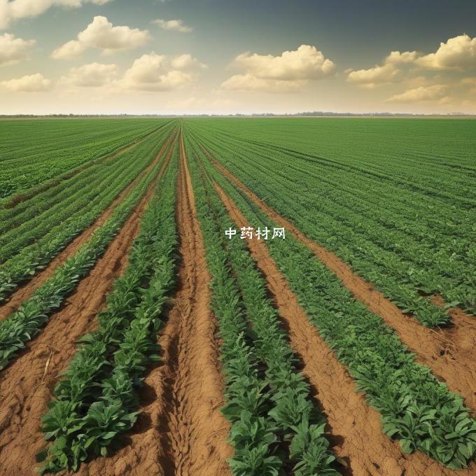 如何合理安排土地用于不同的农作物生产？