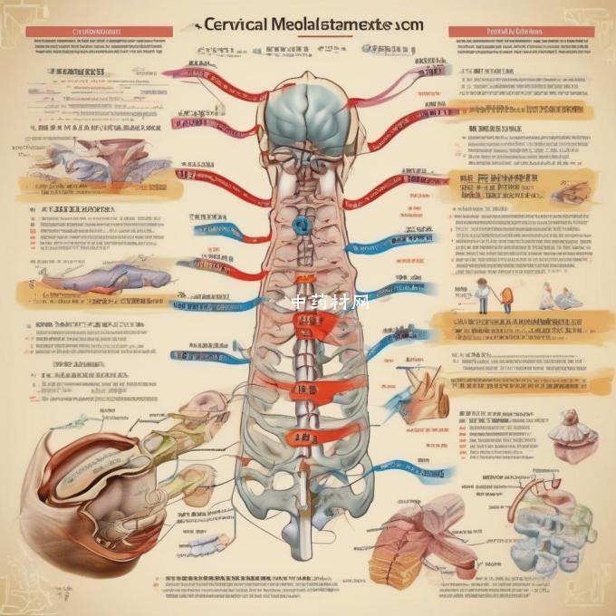 中医对于颈椎病的治疗方法有哪些?