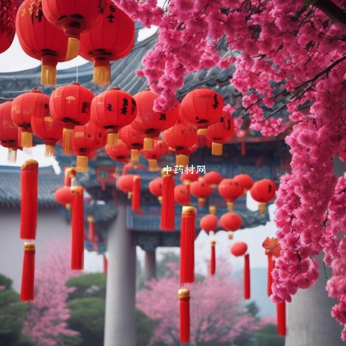 五彩花在中国传统文化中代表什么?