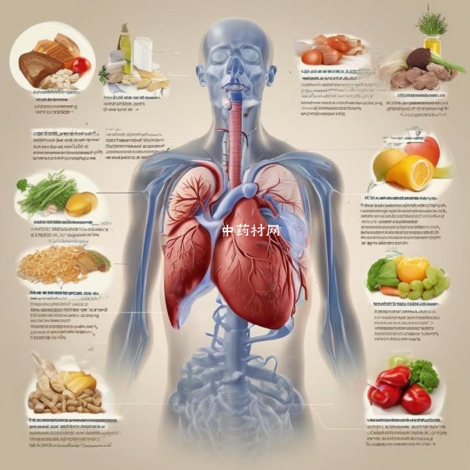 除了饮食调养外还有哪些方法可以有效改善肺寒不好咳嗽的症状?