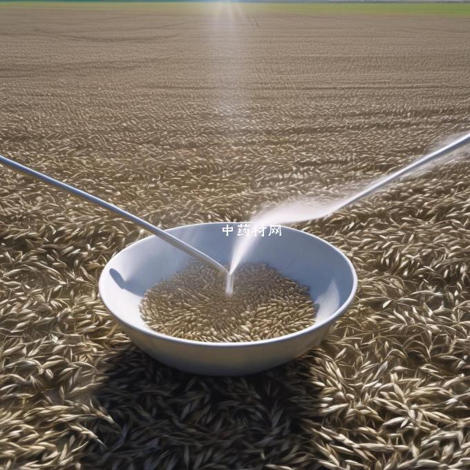 我想知道如何种植小麦一碗水可以施洒到一亩地里吗?