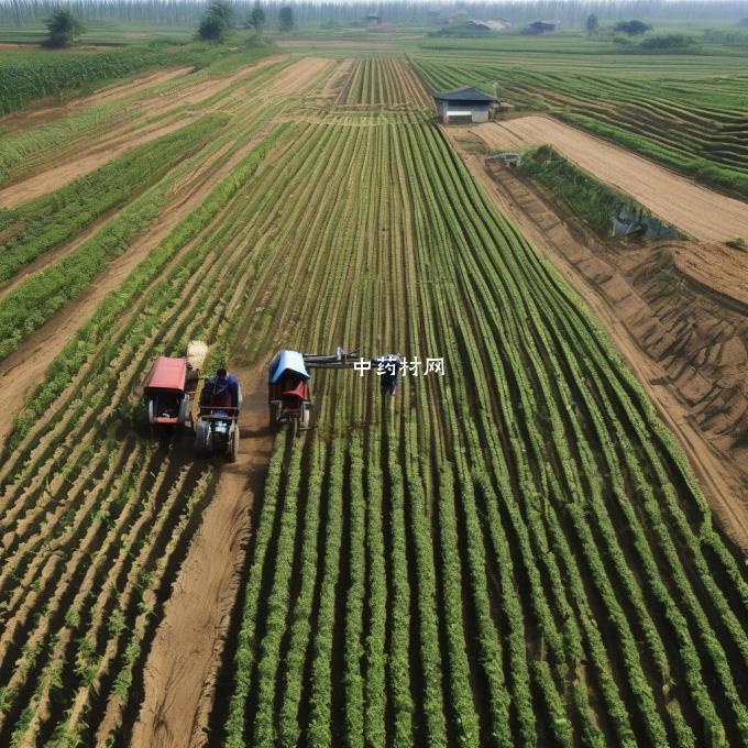 请列举一下中国现在的主要农业政策对元胡种植业的影响是什么?