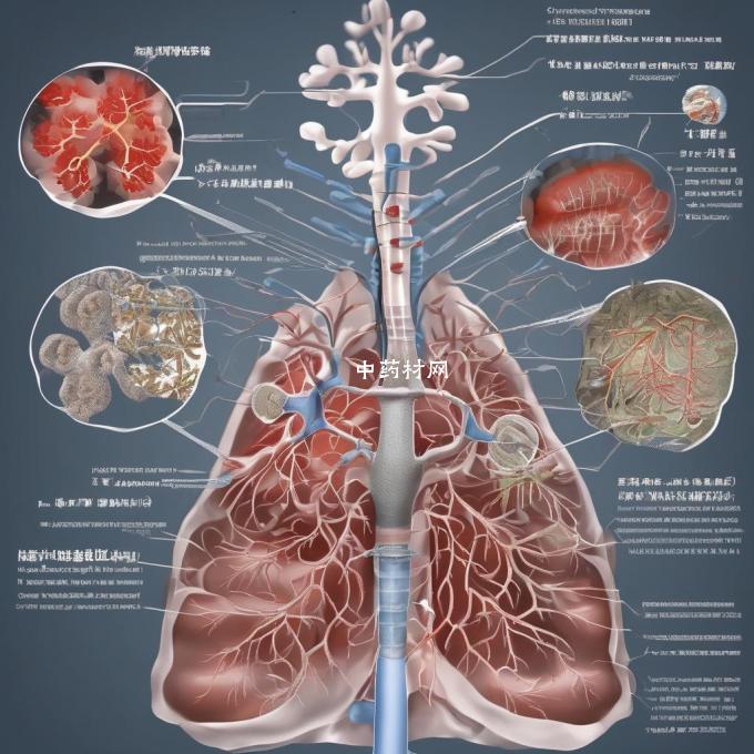 中医泄气如何调节呼吸道中的气流?